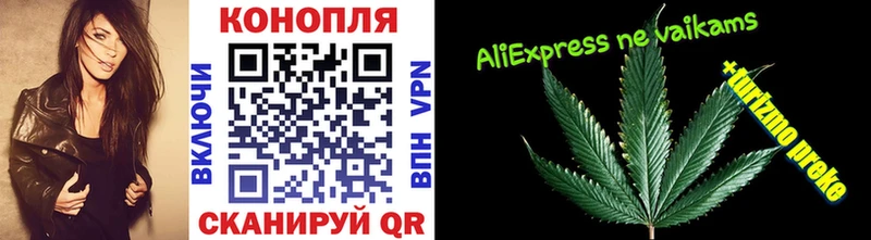 Бошки Шишки OG Kush Купить где Венёв